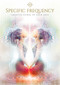 Soul Compass Oracle (Find your emotional freedom) by Melanie Spears, Melissa Williams, 9781922468499