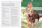 Not Your Granny's Granny Squares for Babies and Kids (Crochet Adorable Clothes, Toys, and More!) by Babette Ulmer, 9798886743890