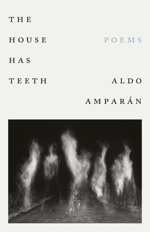 The House Has Teeth by Aldo Amparán, 9781967149001