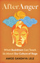 After Anger (What Buddhism Can Teach Us About Our Culture of Rage) by Amod Sandhya Lele, 9781645475224