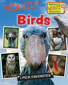 Beastly Birds by Alix Wood, 9781482477627