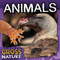 Animals by Gavin Worthy, 9781482477818