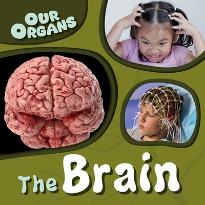 The Brain by Steffi Cavell-Clarke, 9781482477924
