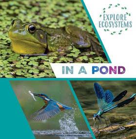 In a Pond by Sarah Ridley, 9781482478679