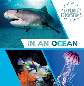 In an Ocean by Sarah Ridley, 9781482478761