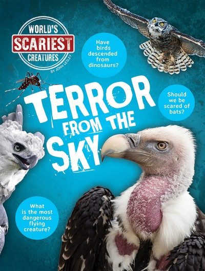 Terror from the Sky by John Lesley, 9781482478914
