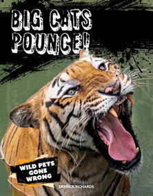 Big Cats Pounce! by Derrick Richards, 9781482479706