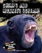 Chimps and Monkeys Scream! by Derrick Richards, 9781482479737