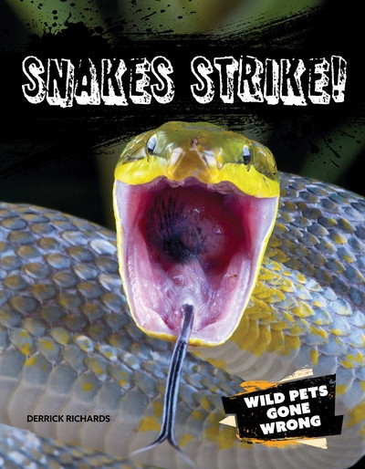 Snakes Strike! by Derrick Richards, 9781482479812
