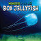 Box Jellyfish by Devon Patrick, 9781482480061