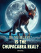Is the Chupacabra Real? by Brynn Carroll, 9781482480245