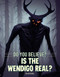 Is the Wendigo Real? by Brynn Carroll, 9781482480337