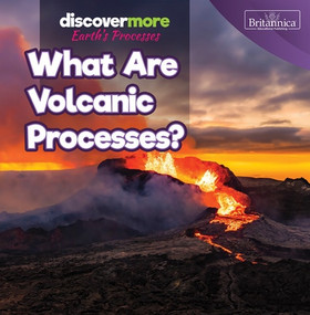 What Are Volcanic Processes? by Doug Bradley, 9781641906029