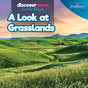 A Look at Grasslands by Dwayne Hicks, 9781641906289
