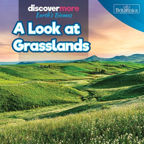 A Look at Grasslands by Dwayne Hicks, 9781641906296