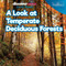 A Look at Temperate Deciduous Forests by Dwayne Hicks, 9781641906319