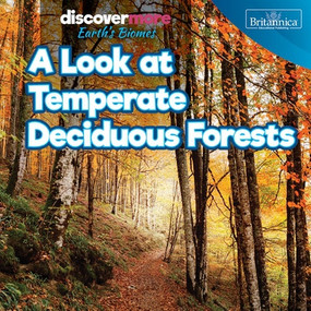 A Look at Temperate Deciduous Forests by Dwayne Hicks, 9781641906326