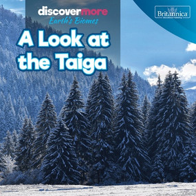 A Look at the Taiga by Dwayne Hicks, 9781641906340