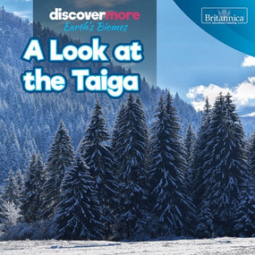 A Look at the Taiga by Dwayne Hicks, 9781641906357