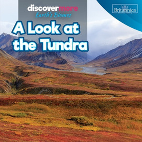 A Look at the Tundra by Dwayne Hicks, 9781641906371