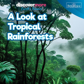 A Look at Tropical Rainforests by Dwayne Hicks, 9781641906401