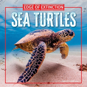 Sea Turtles by Tricia Hoffman, 9781499457902