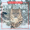 Snow Leopards by Tricia Hoffman, 9781499457933