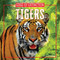 Tigers by Tricia Hoffman, 9781499457964