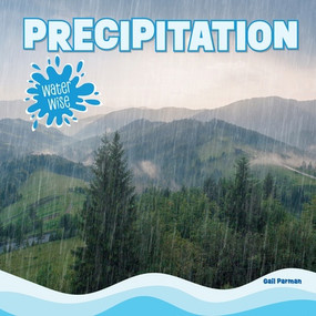 Precipitation by Gail Parman, 9781499458329