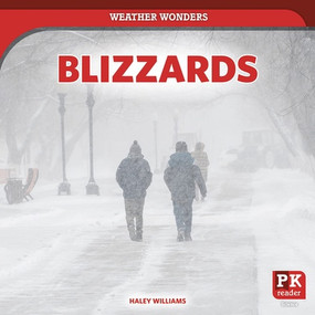 Blizzards by Haley Williams, 9781538295212