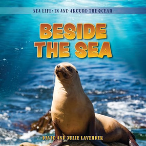 Beside the Sea by David Lavender, Julie Lavender, 9781538295939