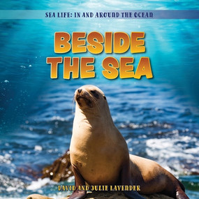 Beside the Sea by David Lavender, Julie Lavender, 9781538295946