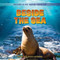 Beside the Sea by David Lavender, Julie Lavender, 9781538295946