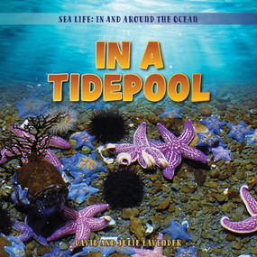 In a Tidepool by David Lavender, Julie Lavender, 9781538295960