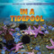 In a Tidepool by David Lavender, Julie Lavender, 9781538295977