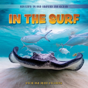 In the Surf by David Lavender, Julie Lavender, 9781538295991