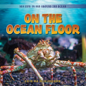 On the Ocean Floor by David Lavender, Julie Lavender, 9781538296035