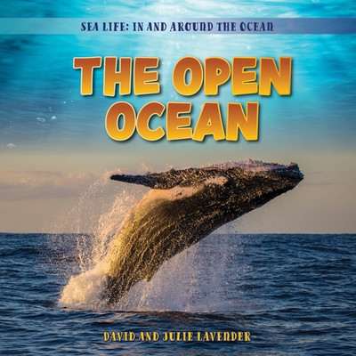 The Open Ocean by David Lavender, Julie Lavender, 9781538296066