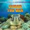Under the Sea by David Lavender, Julie Lavender, 9781538296097