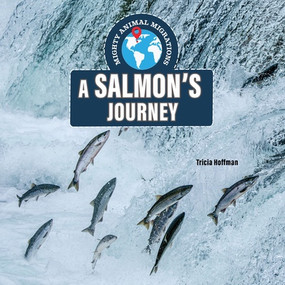 A Salmon's Journey by David Lavender, Julie Lavender, 9781978549616