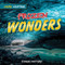 Frozen Wonders by Joanne Mattern, 9781978549739