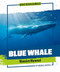 Blue Whale by Emmanuel Marshall, 9781978550599