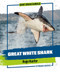 Great White Shark by Emmanuel Marshall, 9781978550650