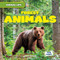 Forest Animals by Trudy Becker, 9781482481143