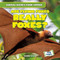 Are Flying Foxes Really Foxes? by Galvin Scott, 9781482481273