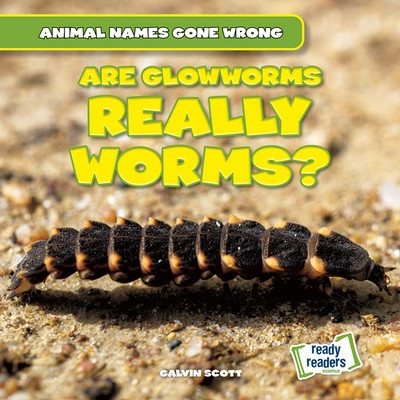 Are Glowworms Really Worms? by Galvin Scott, 9781482481303