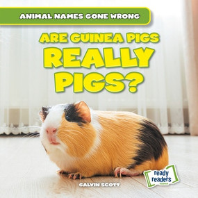 Are Guinea Pigs Really Pigs? by Galvin Scott, 9781482481334