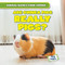 Are Guinea Pigs Really Pigs? by Galvin Scott, 9781482481334