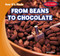 From Beans to Chocolate by Leroy Dax, 9781482481631