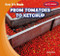 From Tomatoes to Ketchup by Leroy Dax, 9781482481716